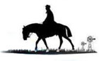 El Gaucho
